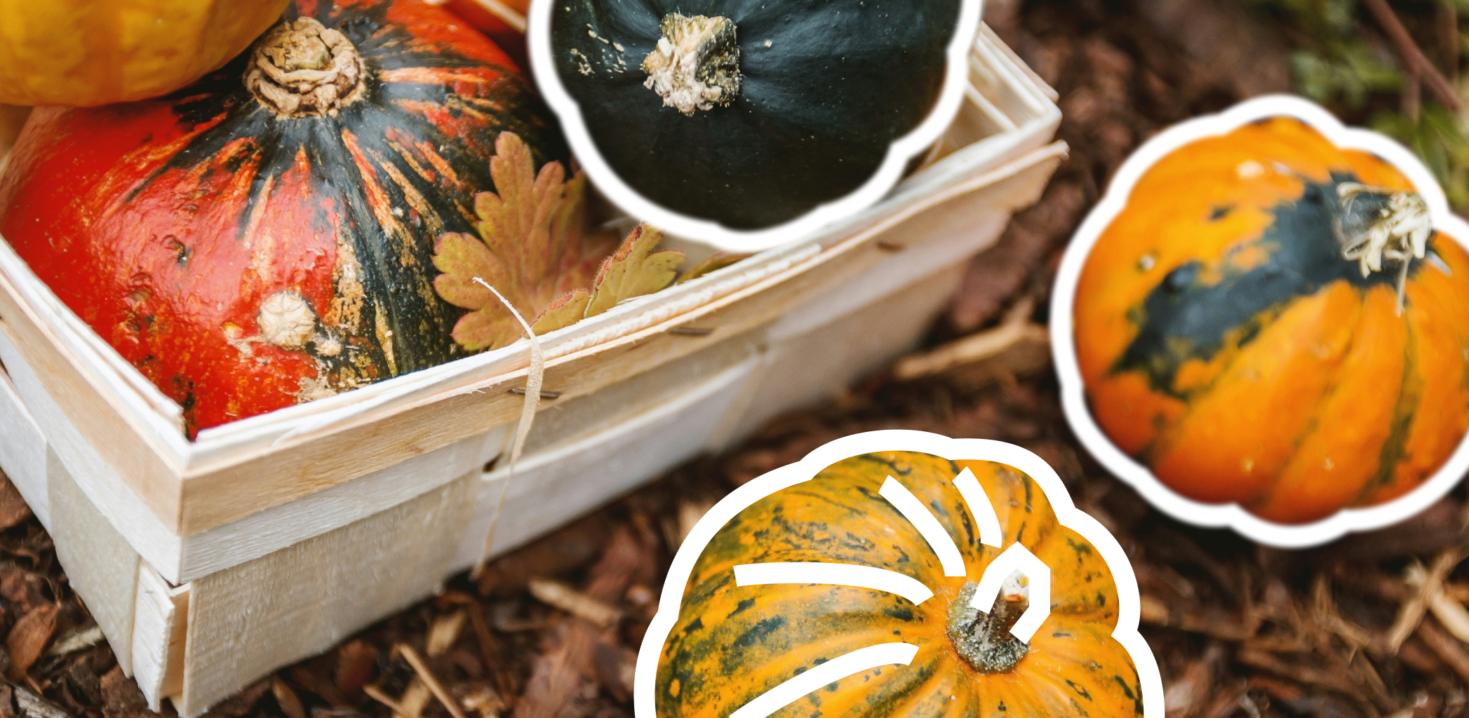 Дачная амнистия: в чем суть законопроекта